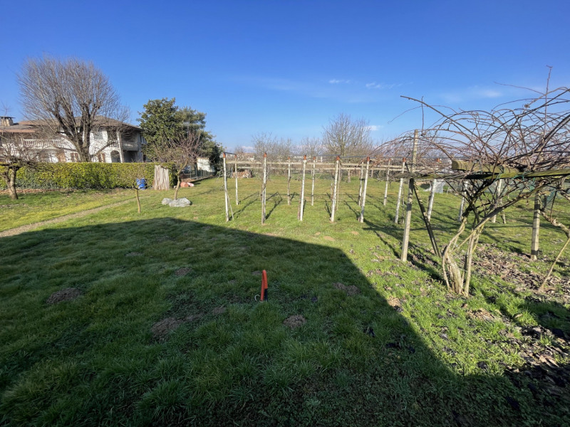 immagine annuncio 3 di 4