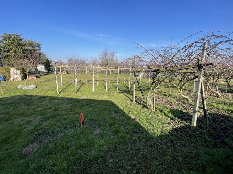 immagine annuncio 1 di 4