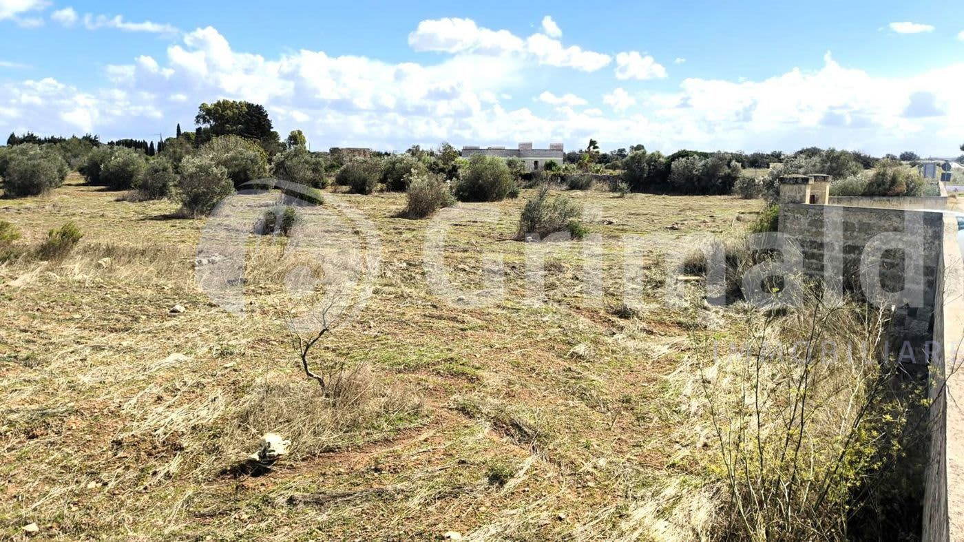 immagine annuncio 1 di 6