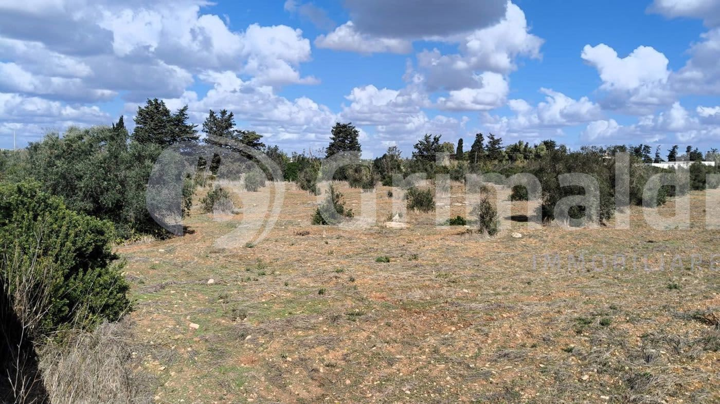 immagine annuncio 3 di 6