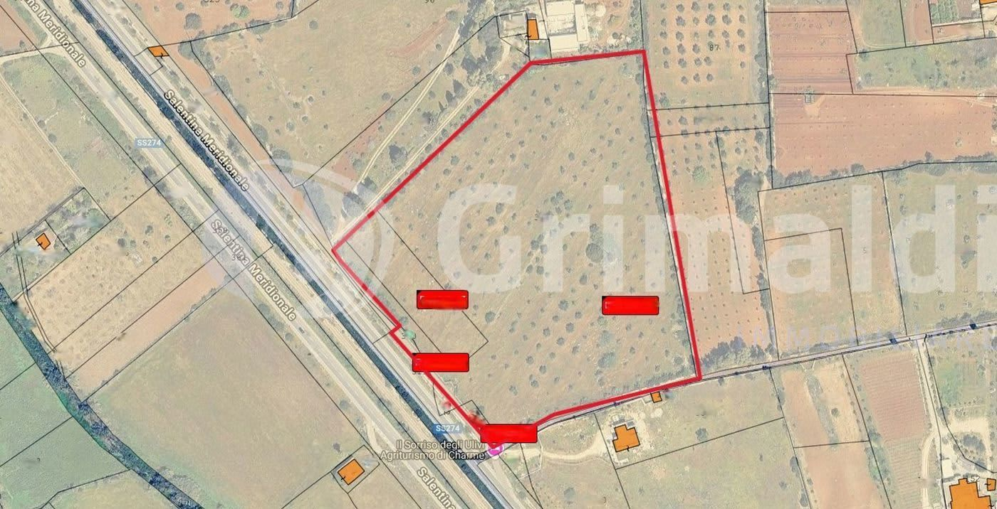 immagine annuncio 5 di 6