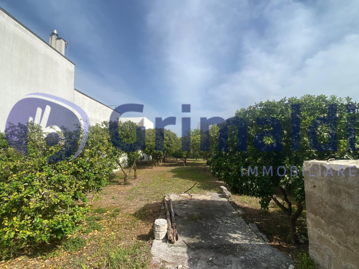 immagine annuncio 1 di 7