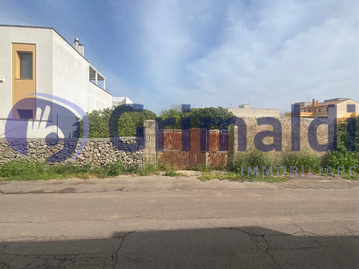 immagine annuncio 5 di 7