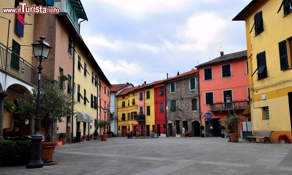 immagine annuncio 3 di 6