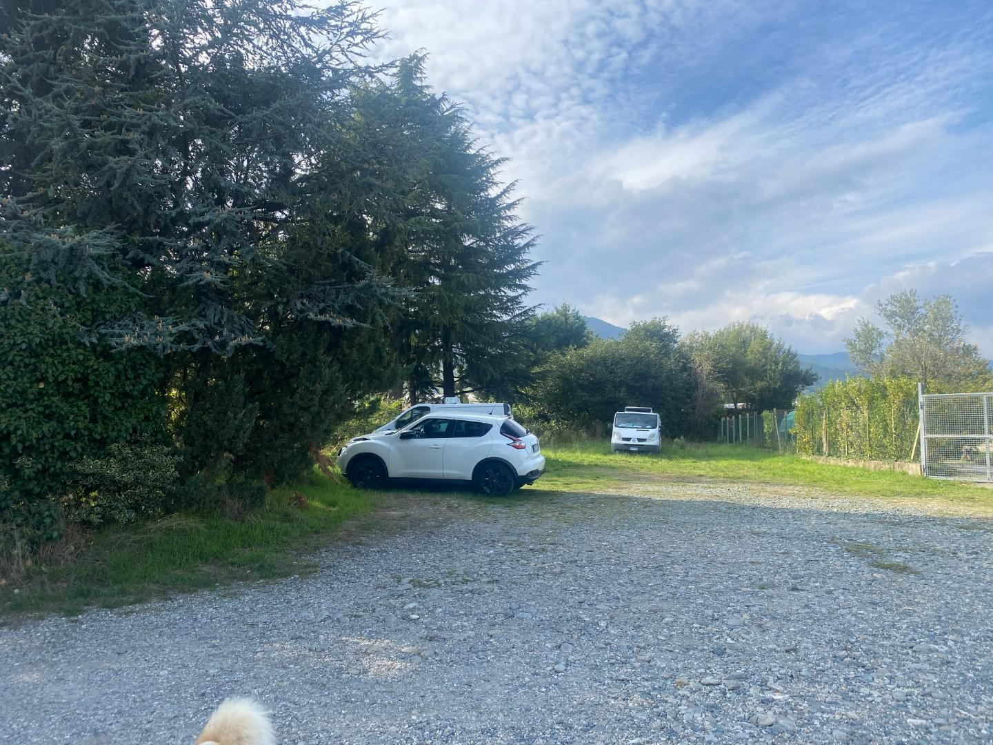 immagine annuncio 8 di 9