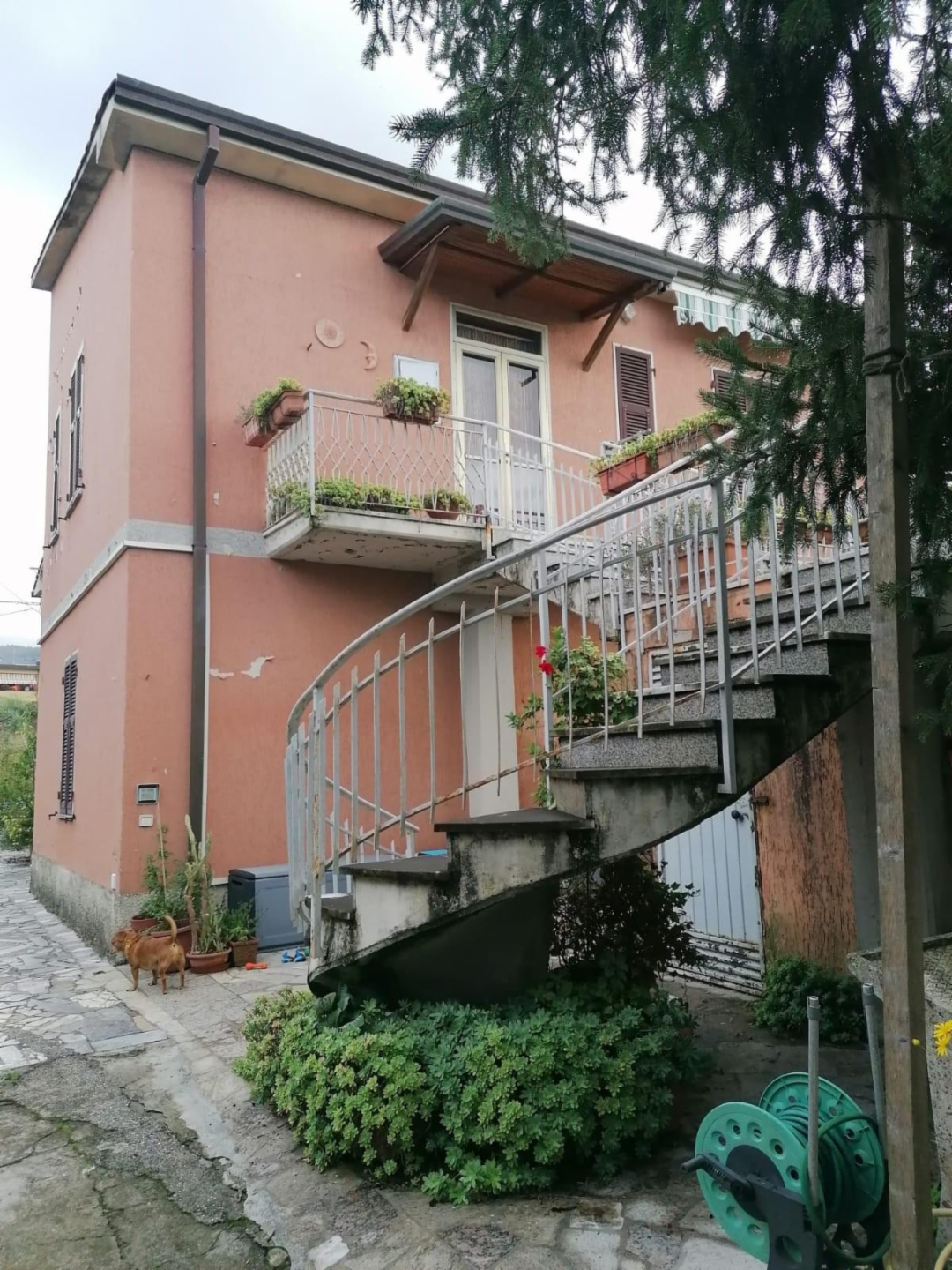 immagine annuncio 3 di 10