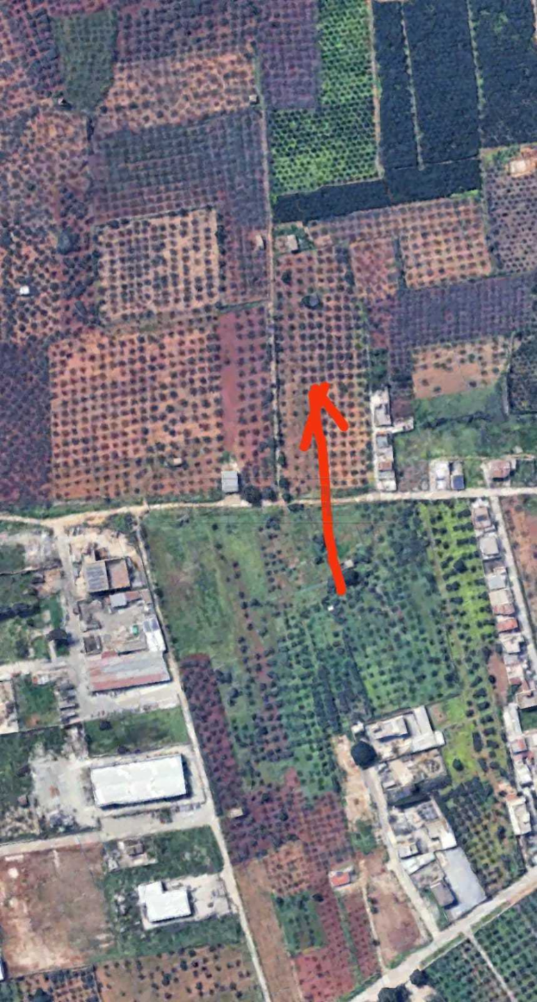 immagine annuncio 6 di 7