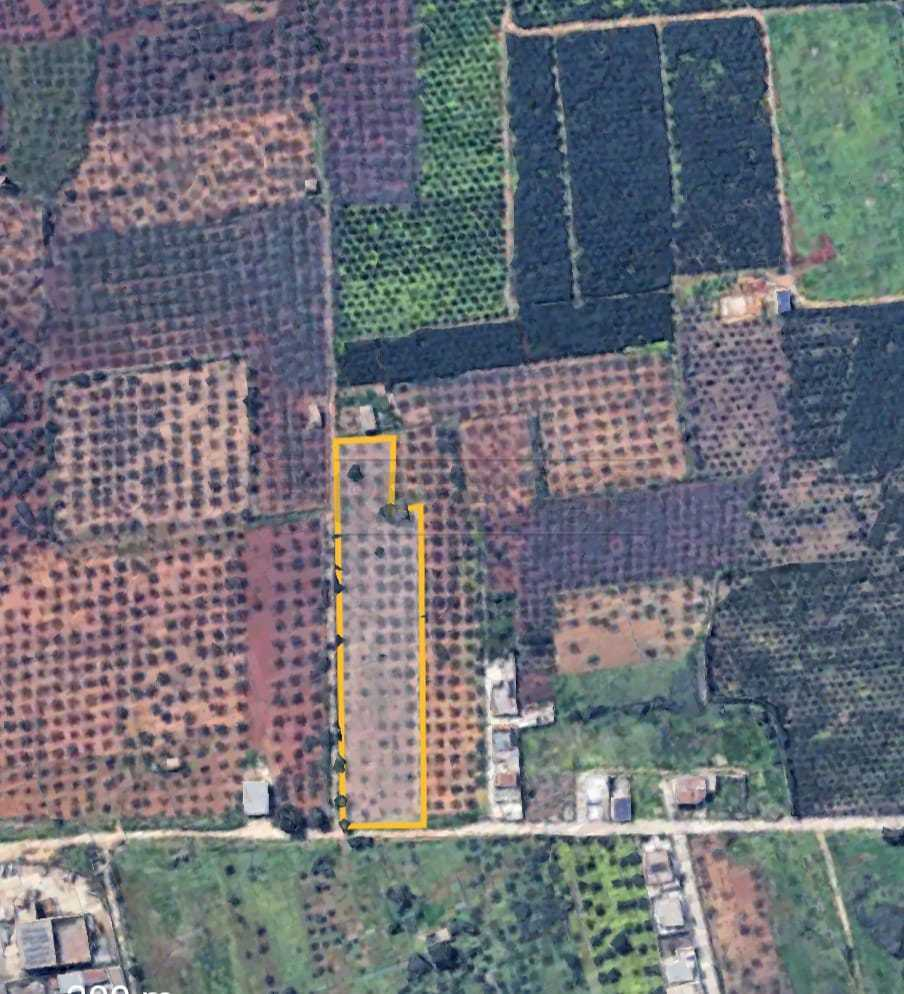 immagine annuncio 5 di 7