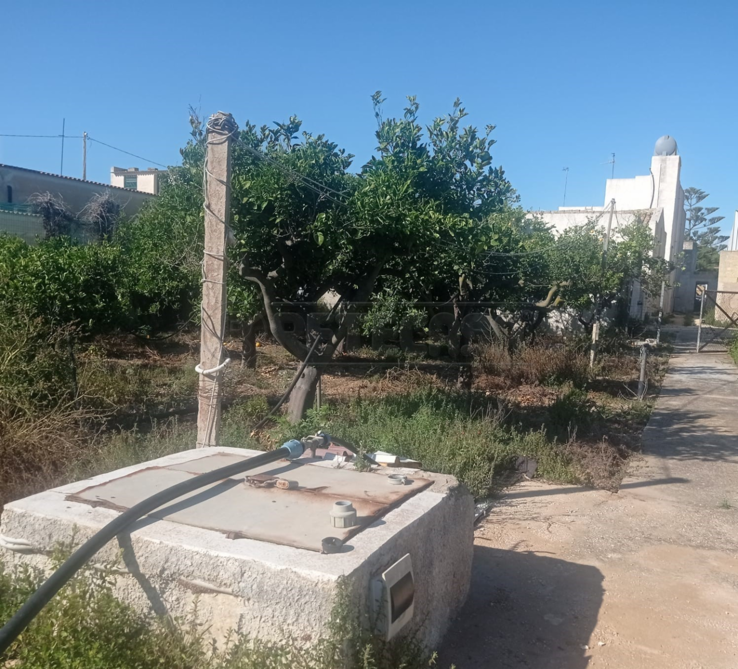 immagine annuncio 7 di 10