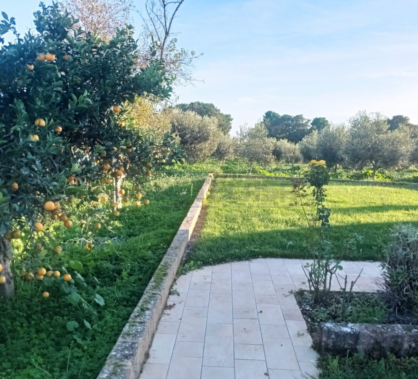 immagine annuncio 5 di 10