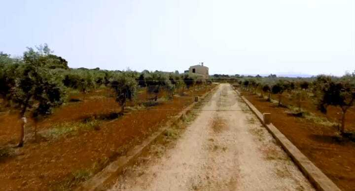 immagine annuncio 3 di 4