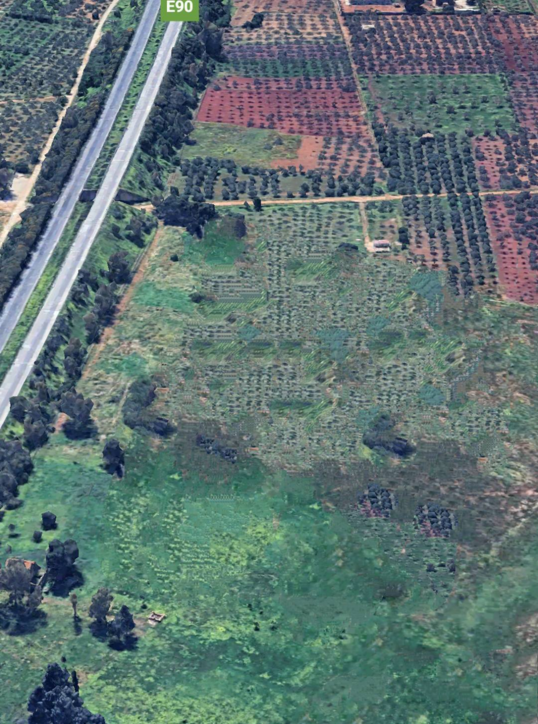 immagine annuncio 2 di 4