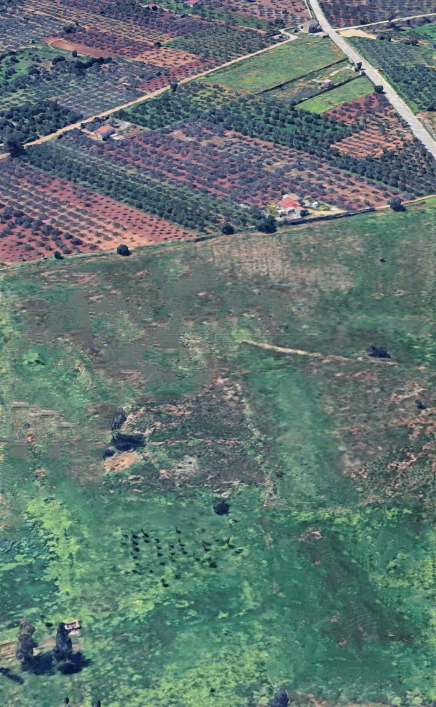 immagine annuncio 1 di 4