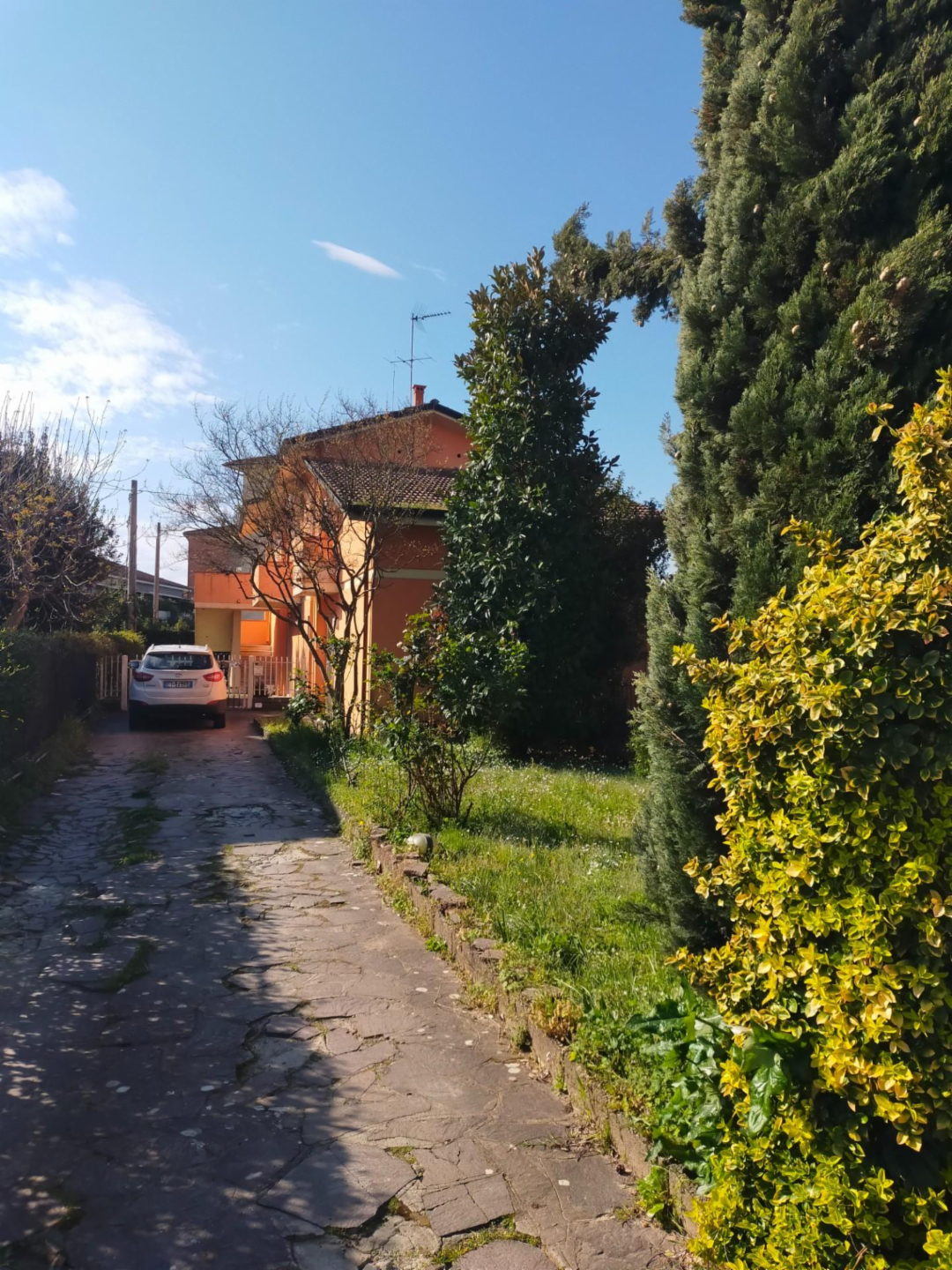 immagine annuncio 4 di 6