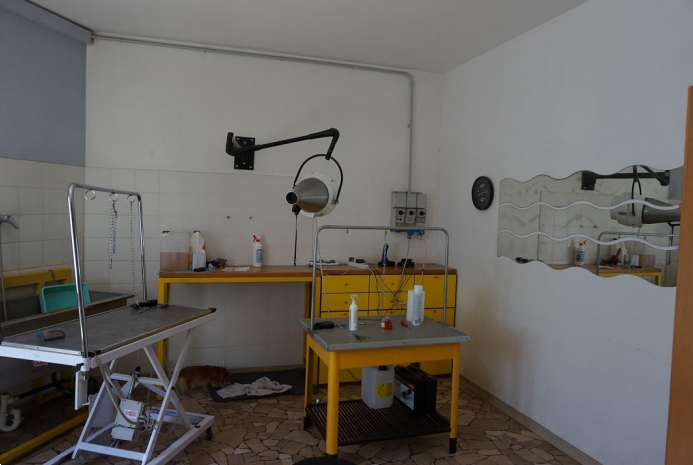 immagine annuncio 5 di 10