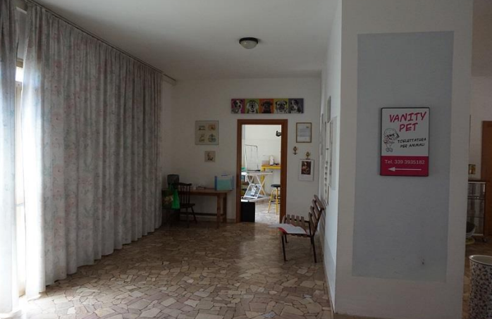 immagine annuncio 4 di 10