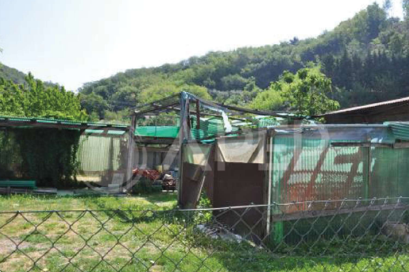 immagine annuncio 4 di 10