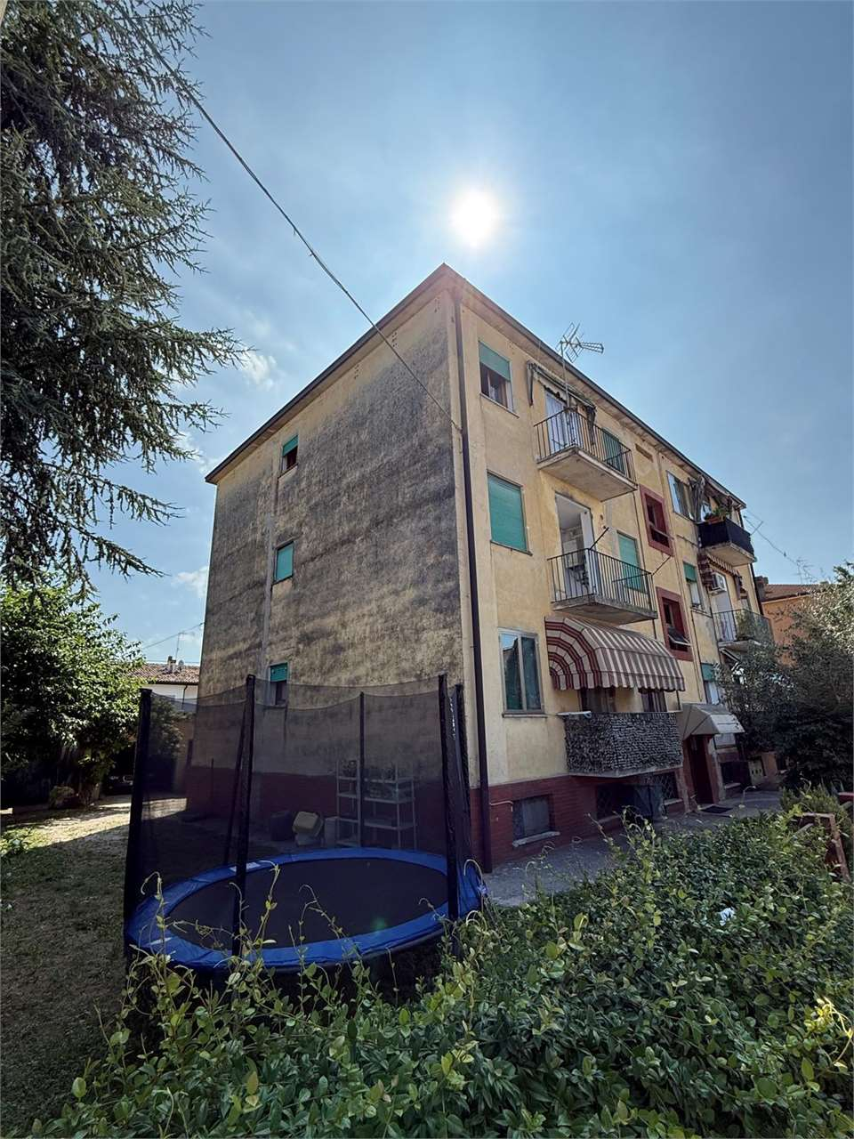 immagine annuncio 1 di 10