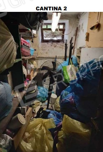 immagine annuncio 2 di 10