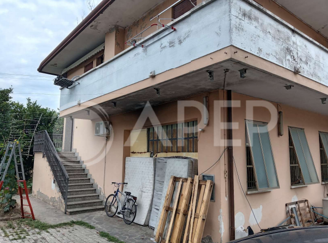 immagine annuncio 5 di 8