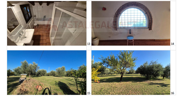 immagine annuncio 2 di 8