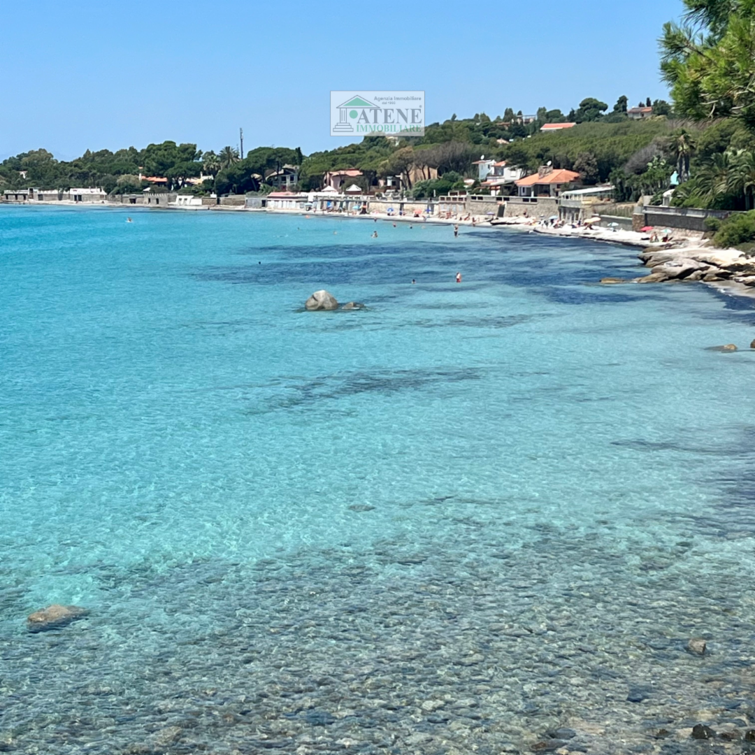 immagine annuncio 4 di 6