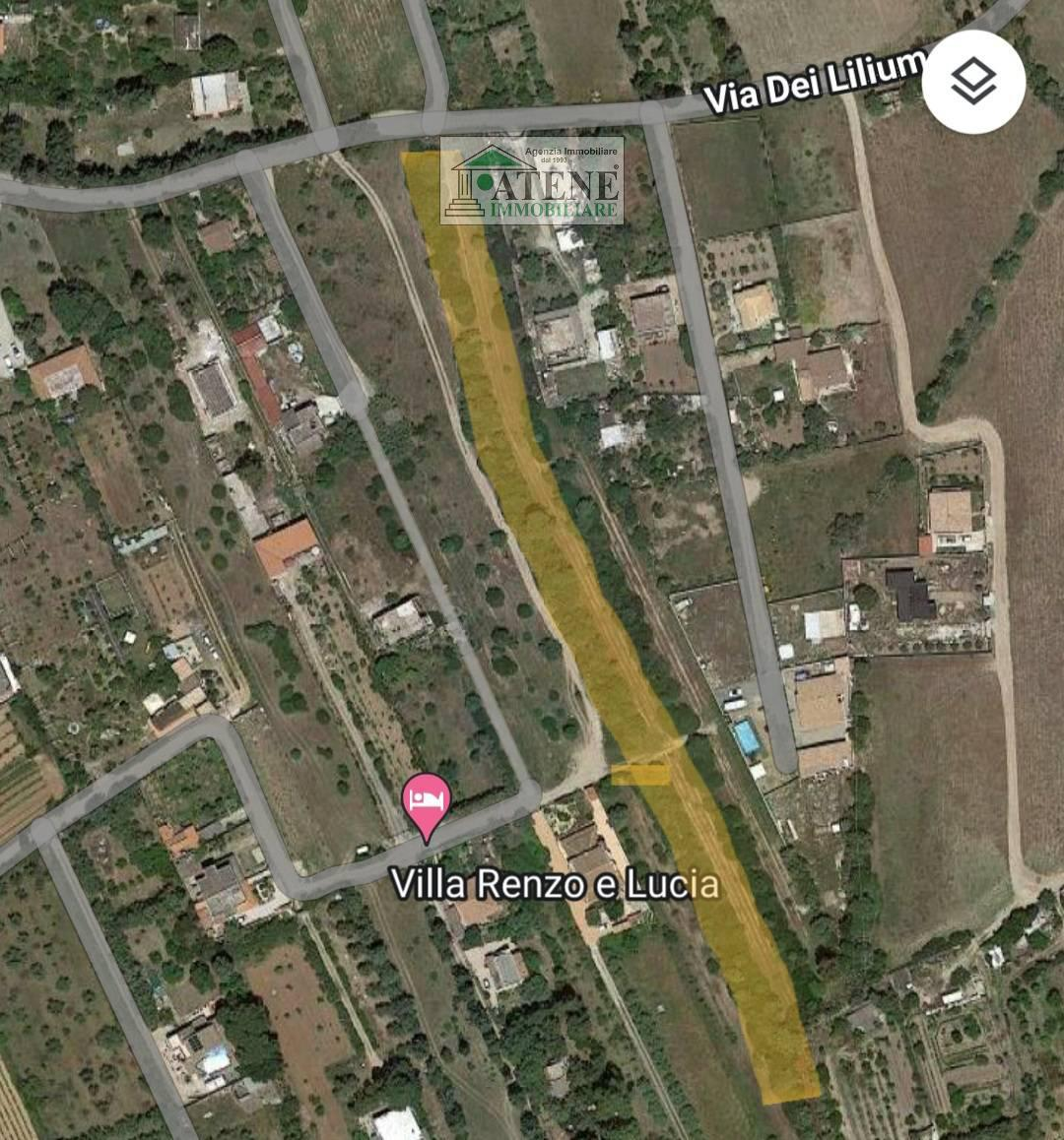 immagine annuncio 1 di 2