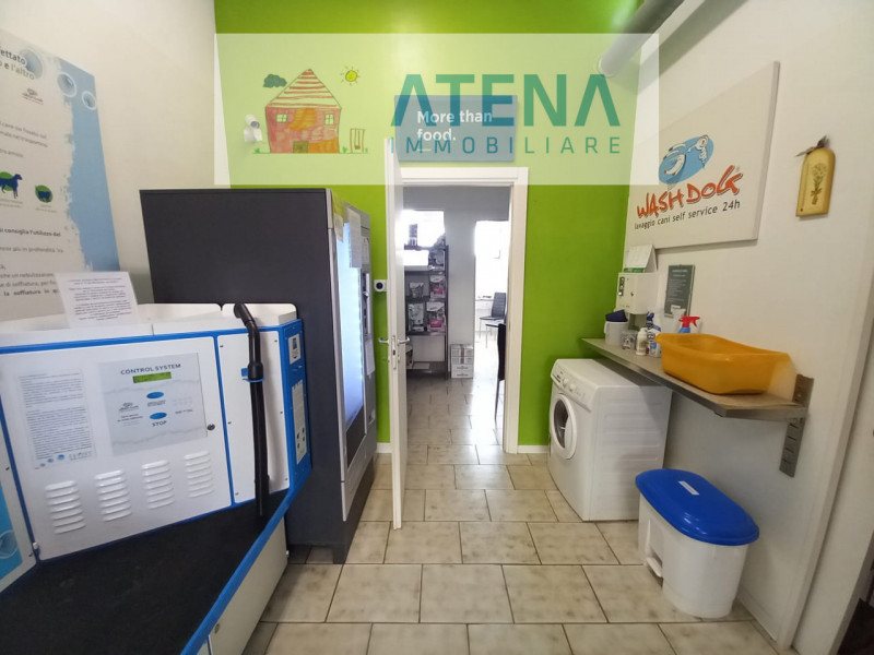 immagine annuncio 4 di 10