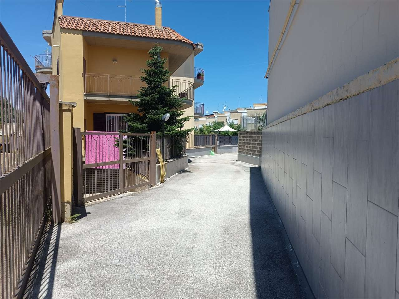 immagine annuncio 5 di 10