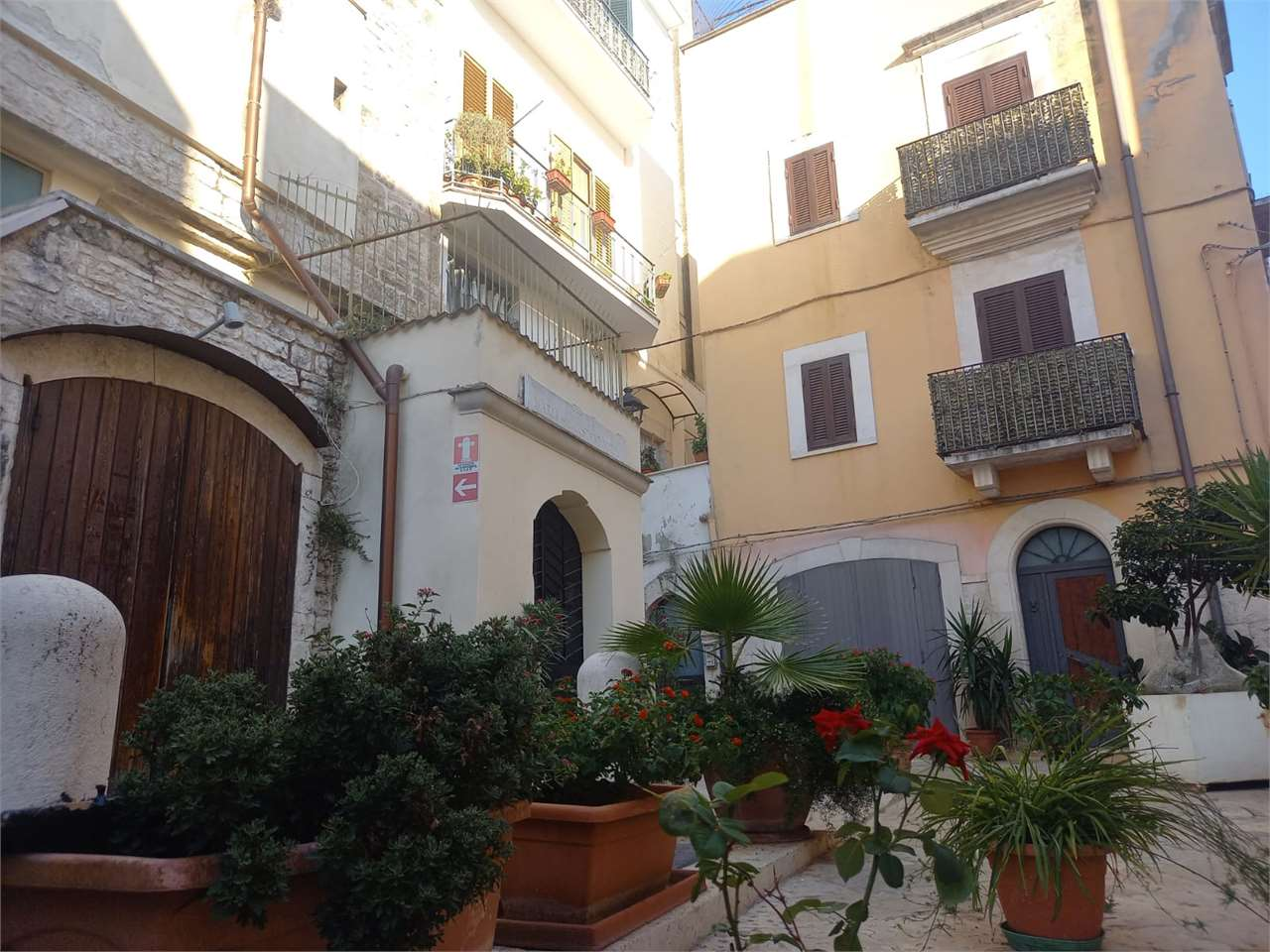 immagine annuncio 3 di 10