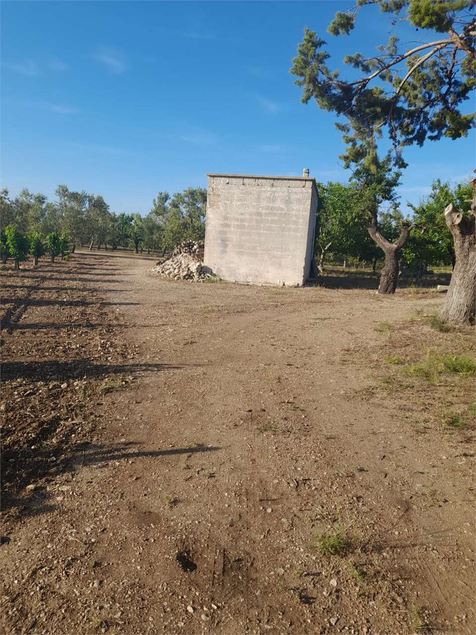 immagine annuncio 8 di 10