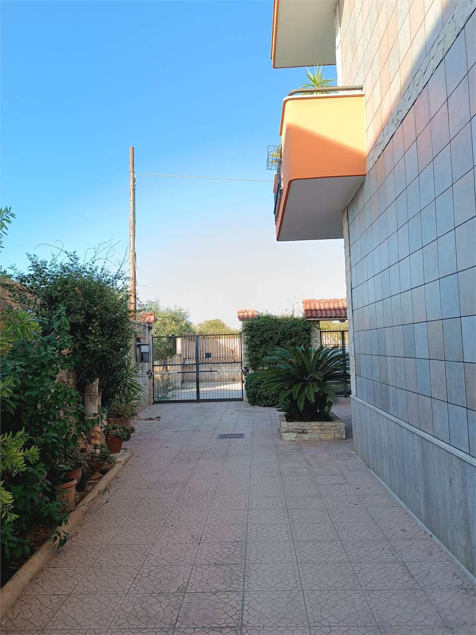 immagine annuncio 5 di 10