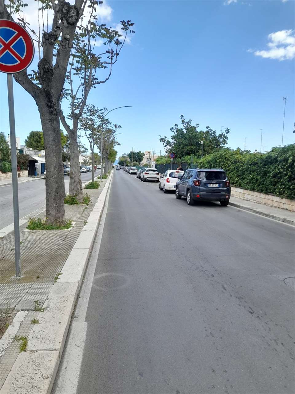 immagine annuncio 1 di 3