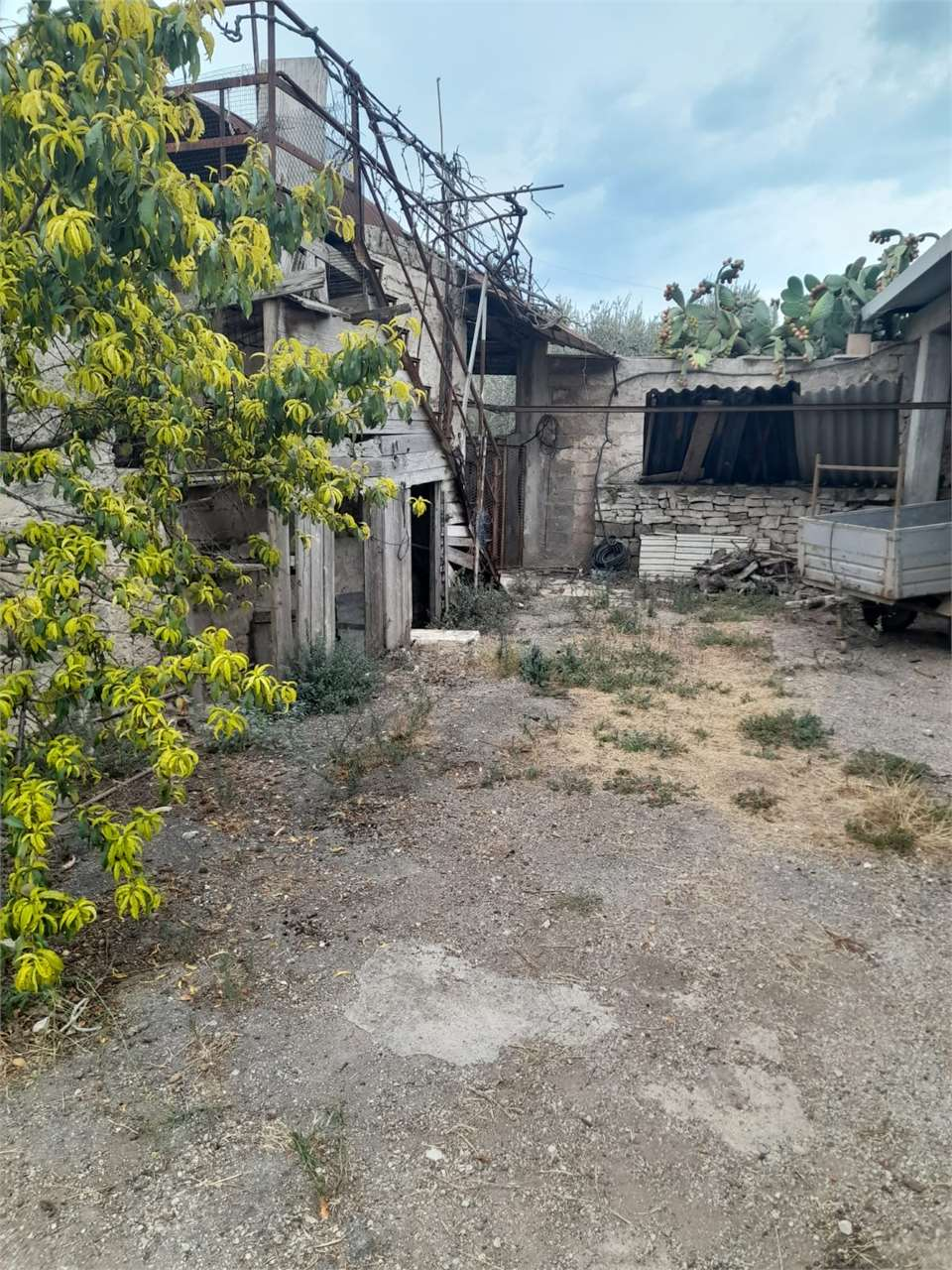 immagine annuncio 7 di 10