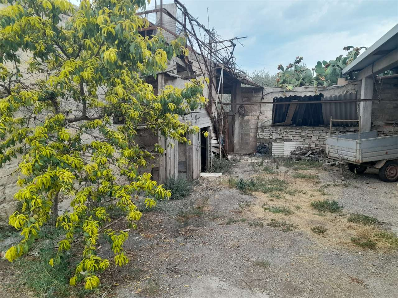 immagine annuncio 9 di 10