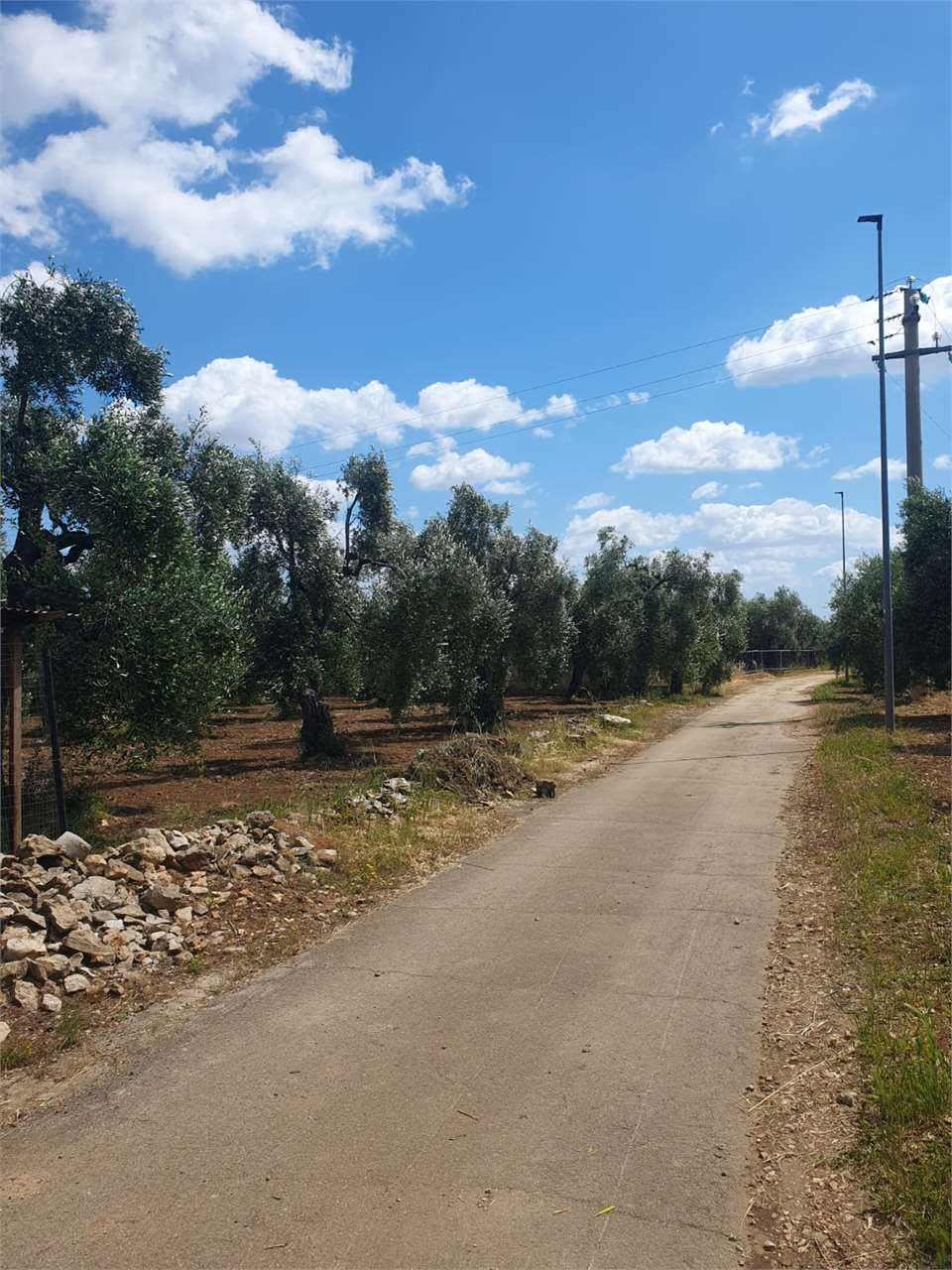 terreno edificabile in vendita a Bitonto in zona Palombaio