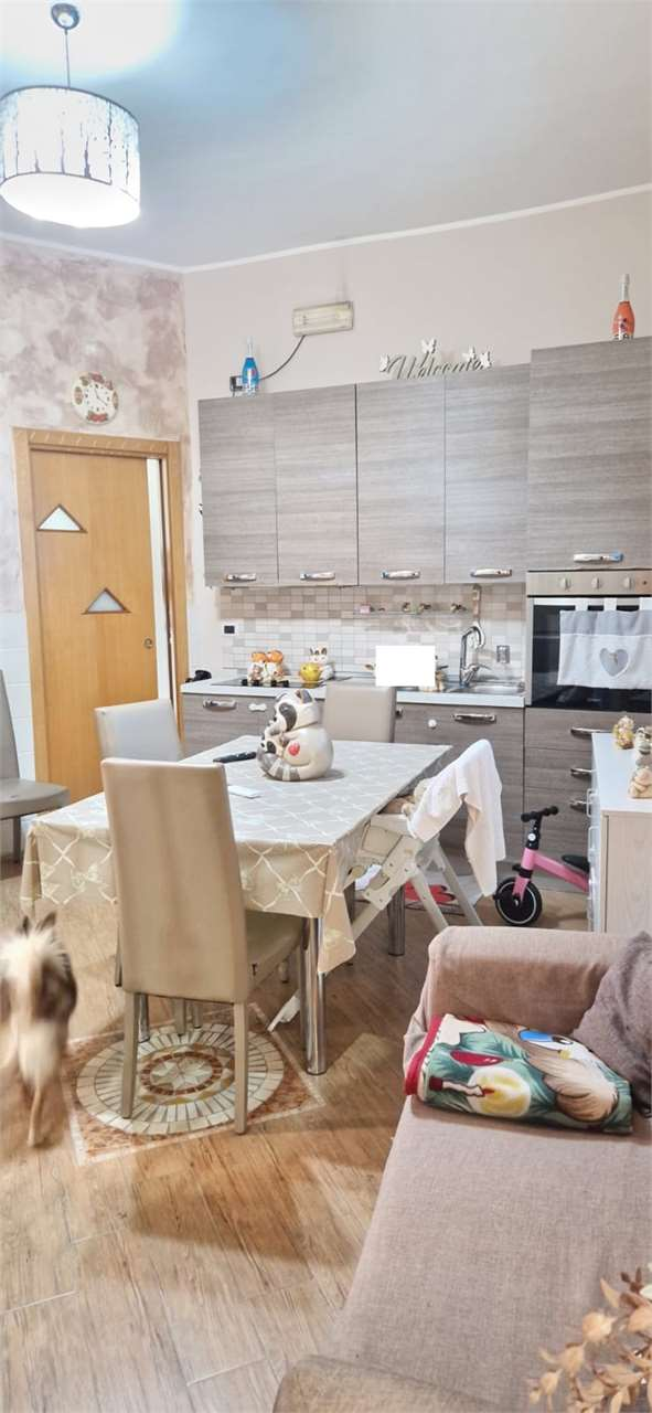 immagine annuncio 2 di 10