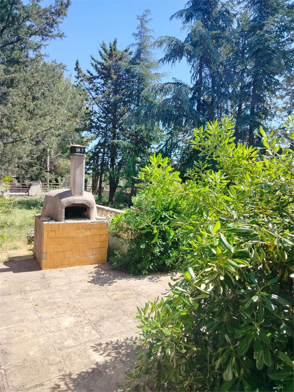 immagine annuncio 7 di 10