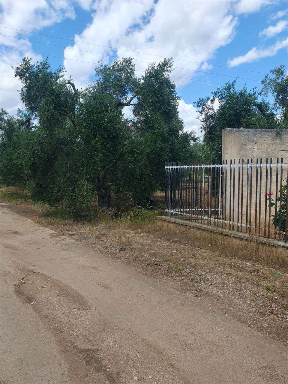 immagine annuncio 8 di 10