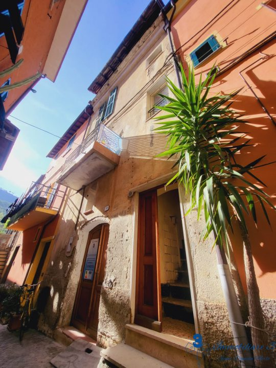 immagine annuncio 2 di 3