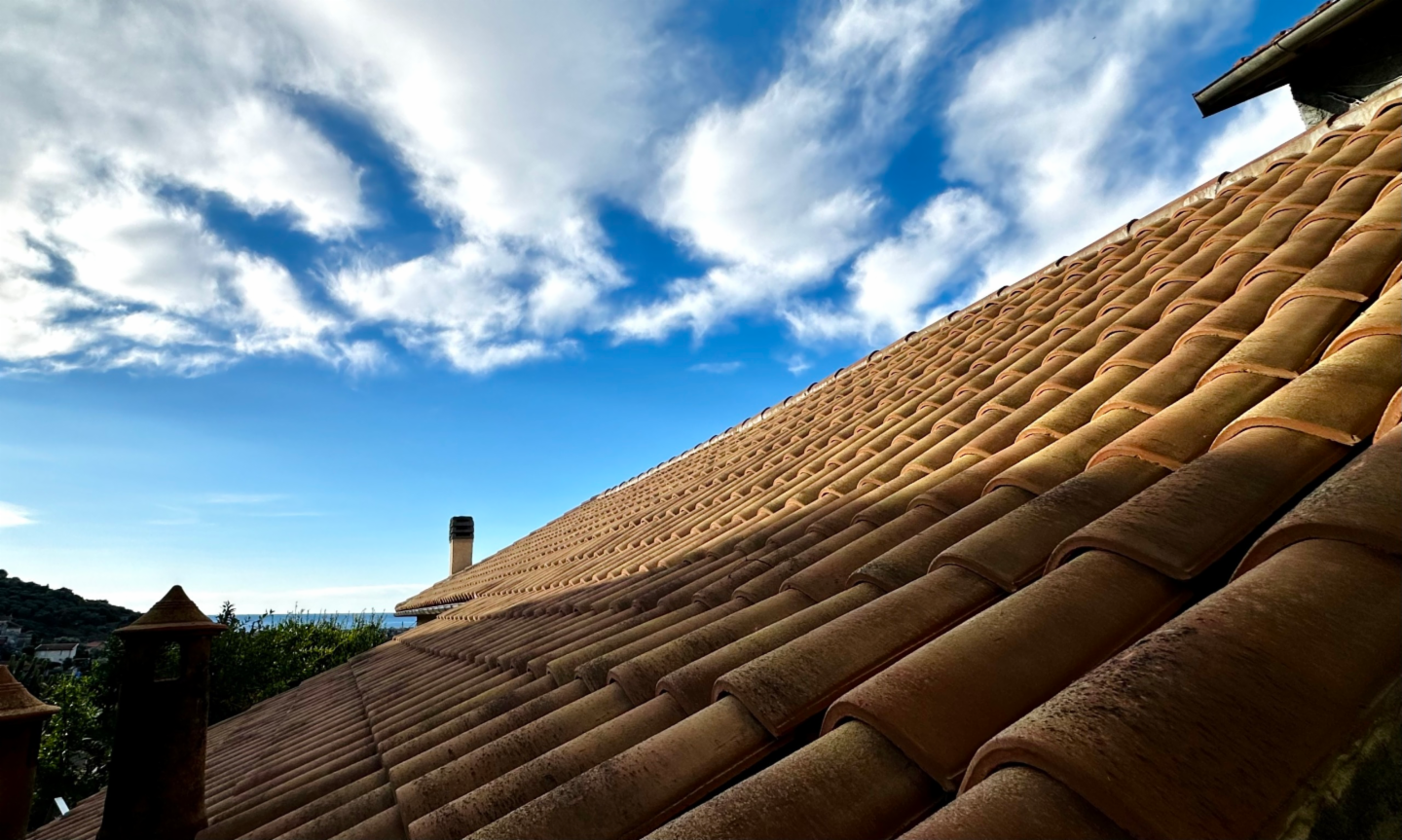 immagine annuncio 0 di 15