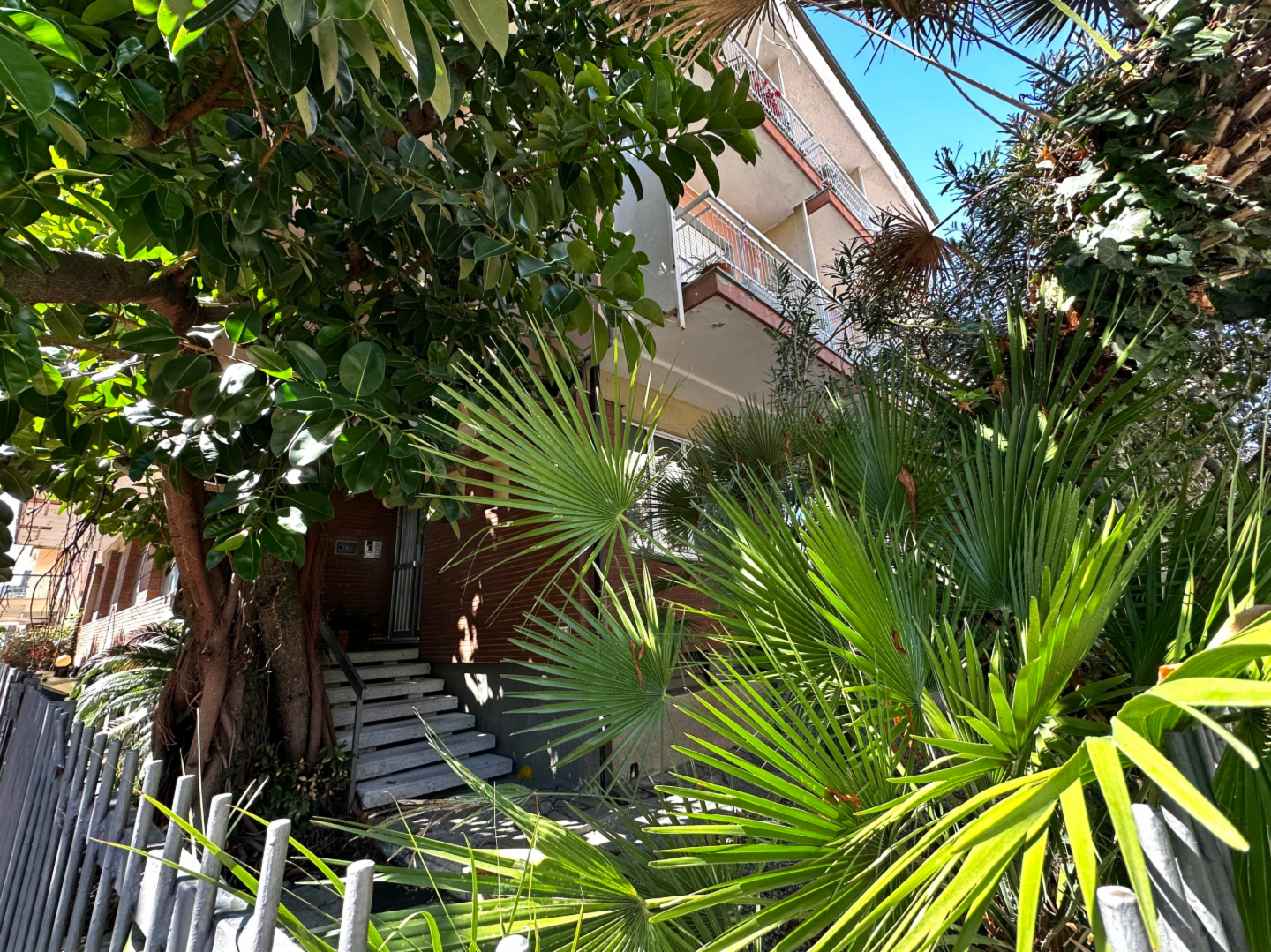 immagine annuncio 1 di 6