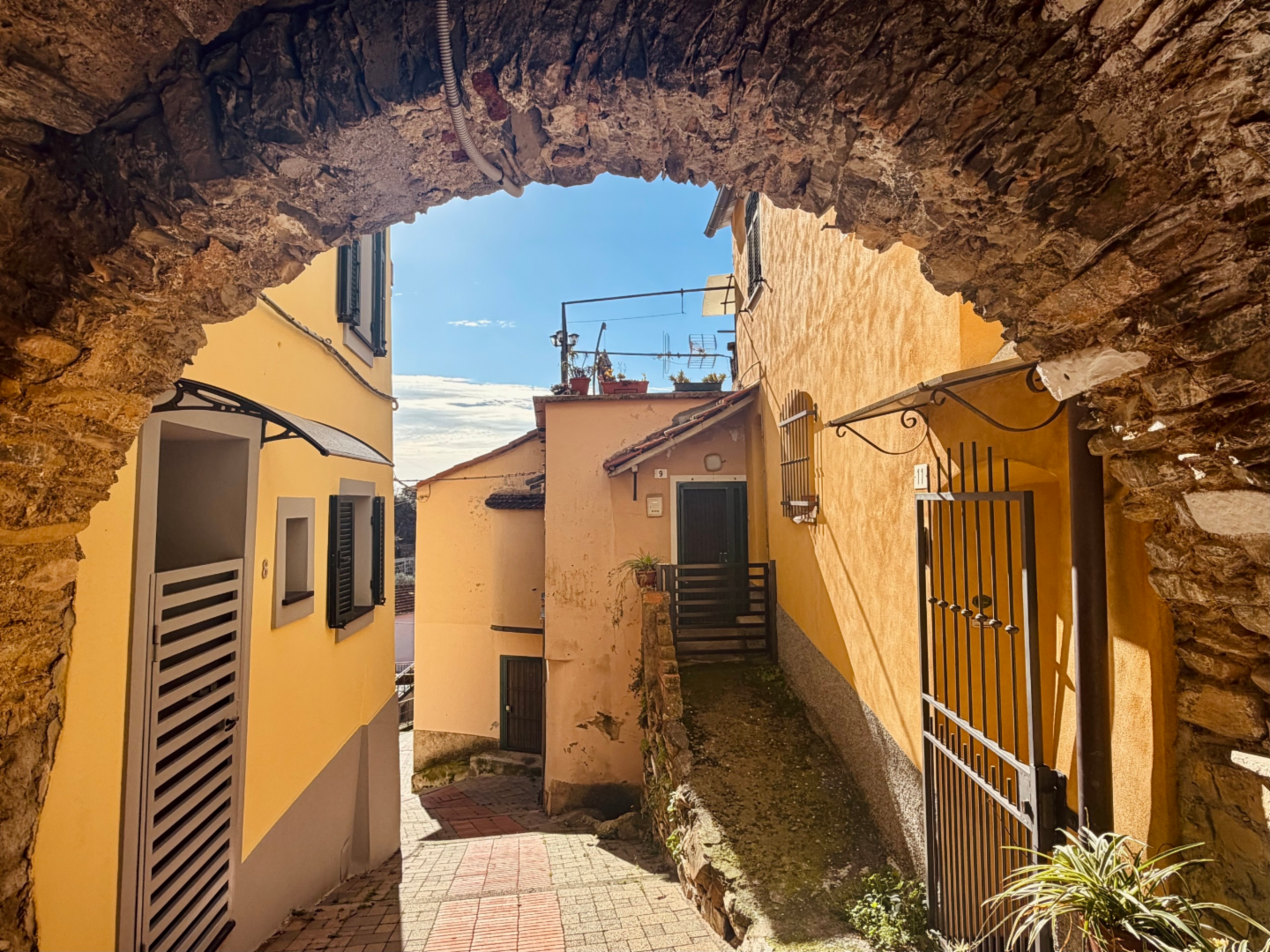 immagine annuncio 3 di 10