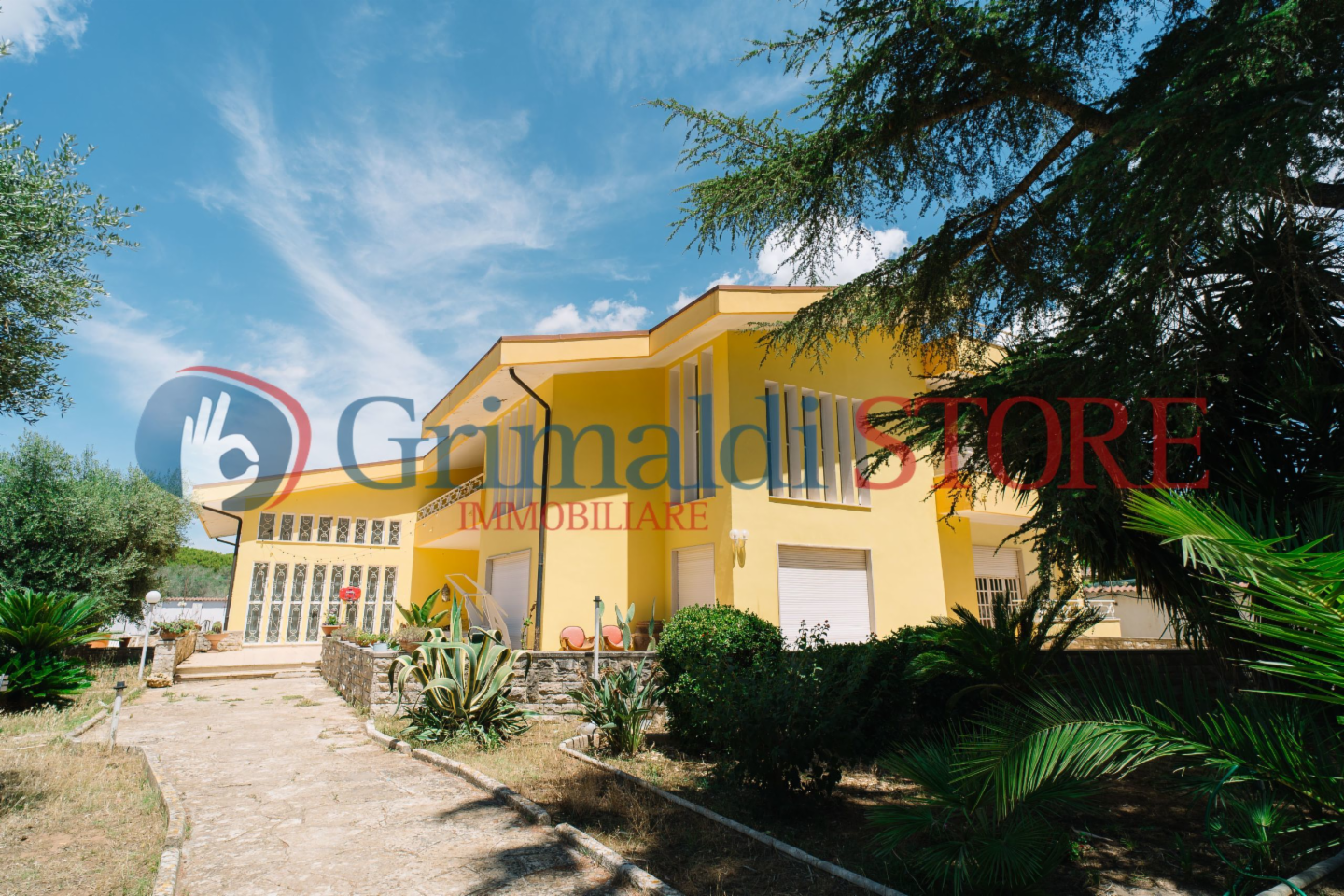 immagine annuncio 8 di 10