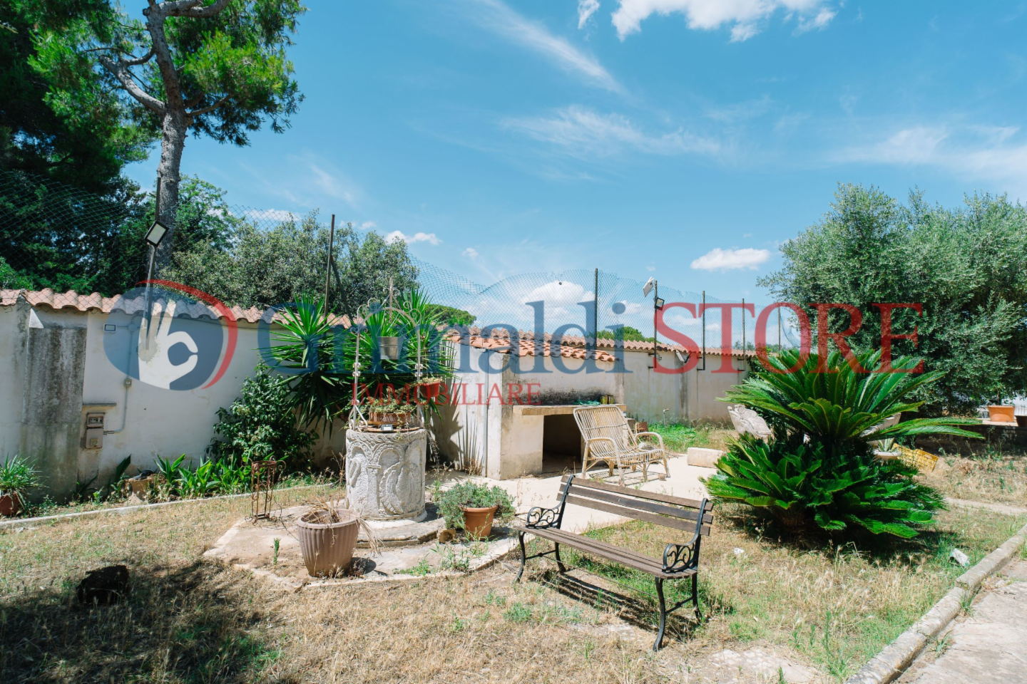 immagine annuncio 6 di 10