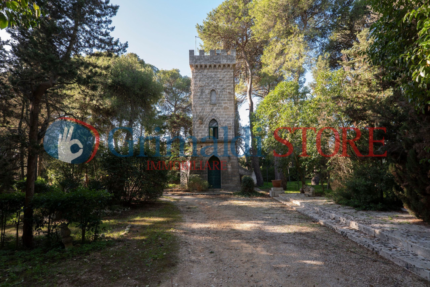 immagine annuncio 3 di 10