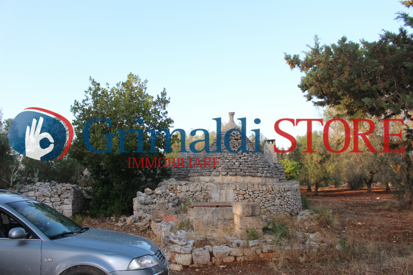 immagine annuncio 1 di 10