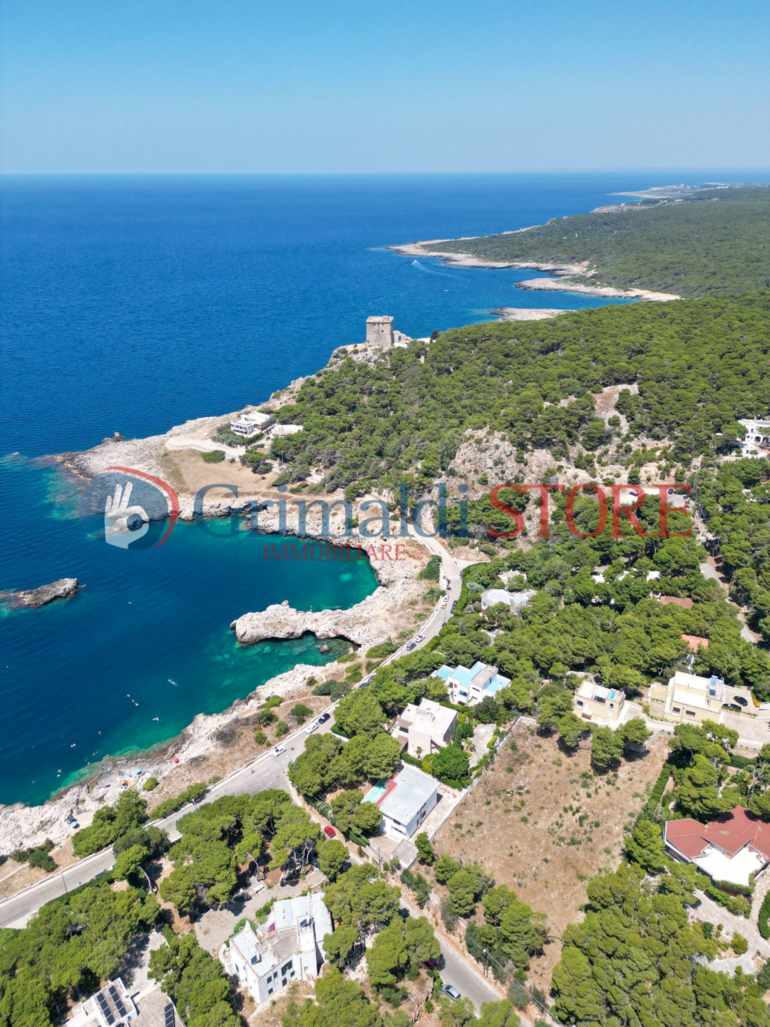 immagine annuncio 9 di 10