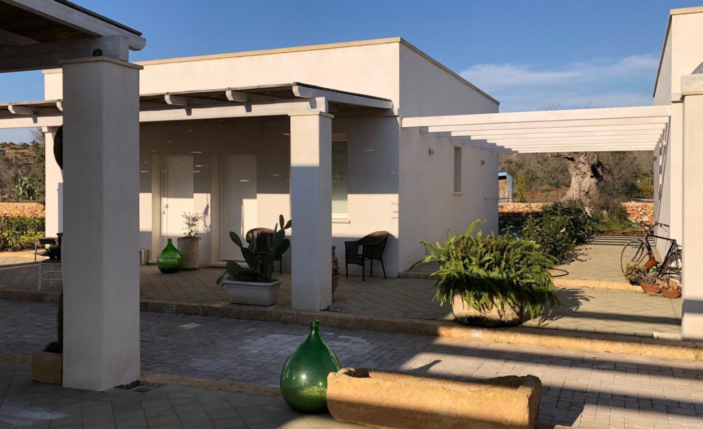 immagine annuncio 1 di 10