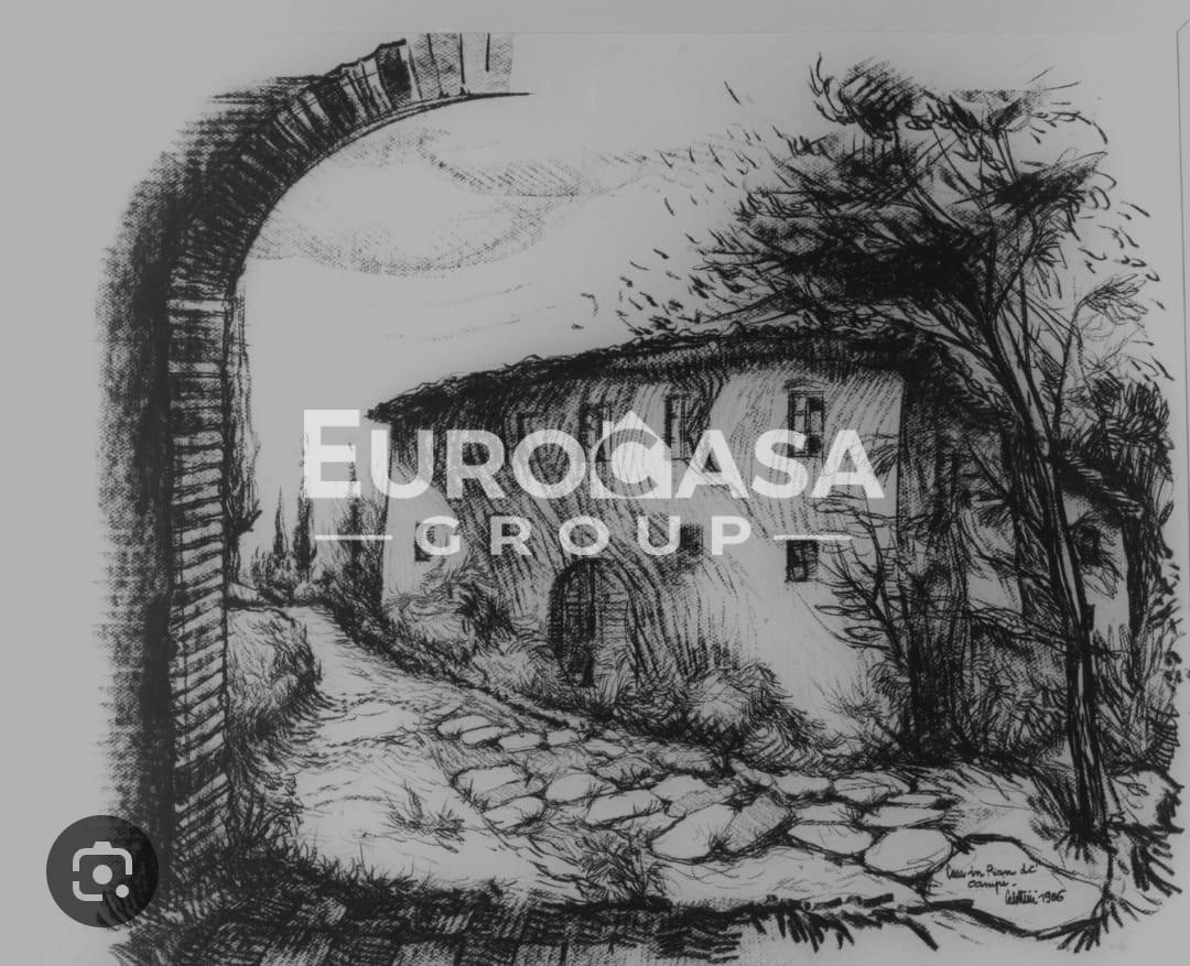 immagine annuncio 1 di 2